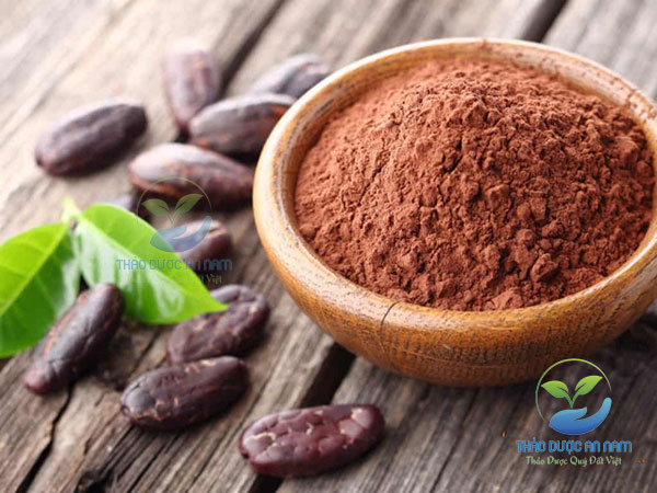 Bột cacao – siêu thực phẩm mang đến nhiều lợi ích cho sức khỏe