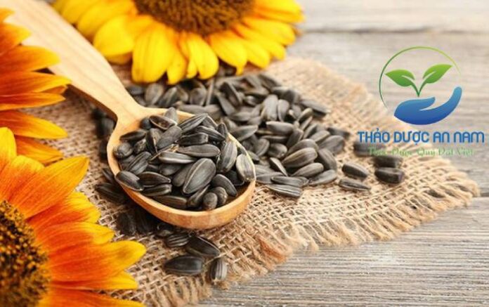 8 Tác dụng của hạt Hướng Dương mà bạn chưa biết
