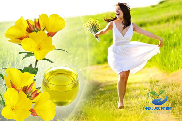 Tinh dầu hoa anh thảo mang đến nhiều lợi ích tuyệt vời cho sức khỏe