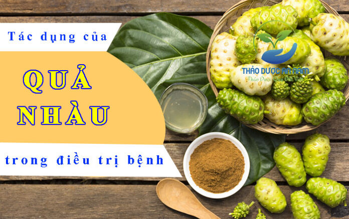 Tác dụng tuyệt vời của Quả Nhàu trong việc điều trị bệnh